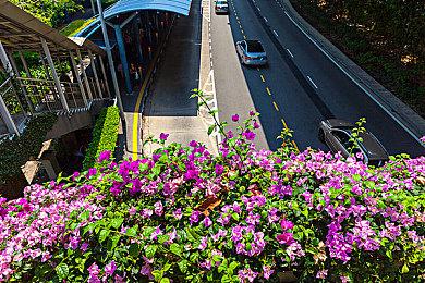 光荣公开TGS时间表 《信长之野望･新生》、《零：濡鸦之巫女》等